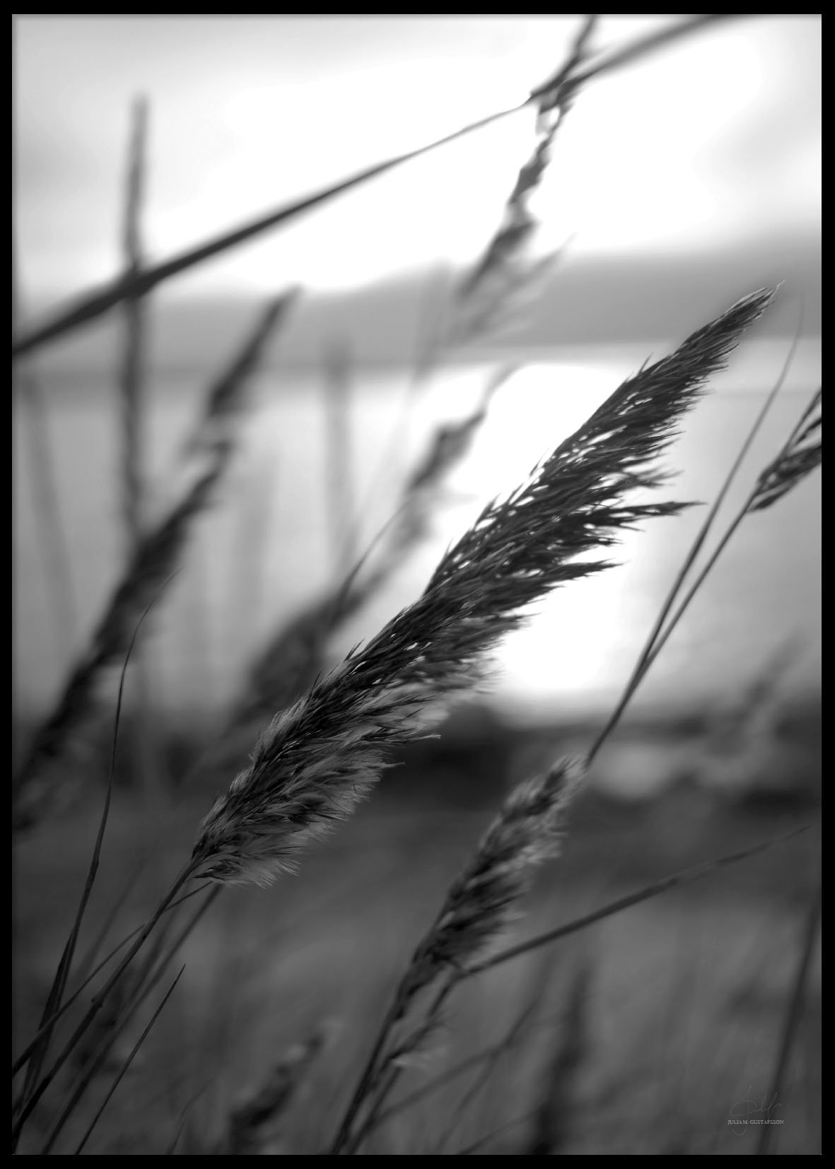 Calm poster 50x70