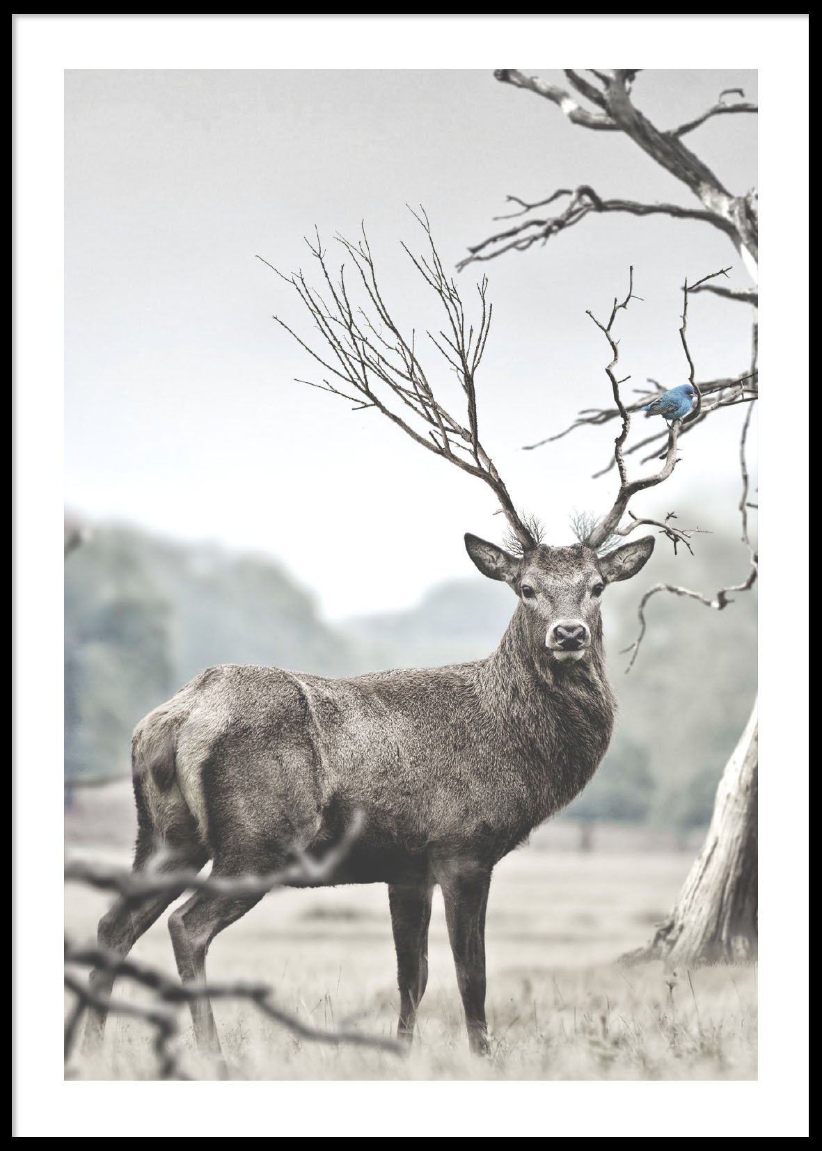 DEER PORTRAIT 50x70