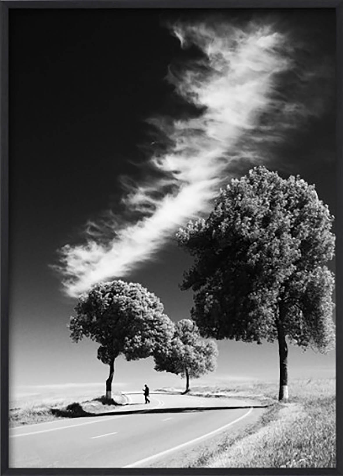 Desert road 50x70
