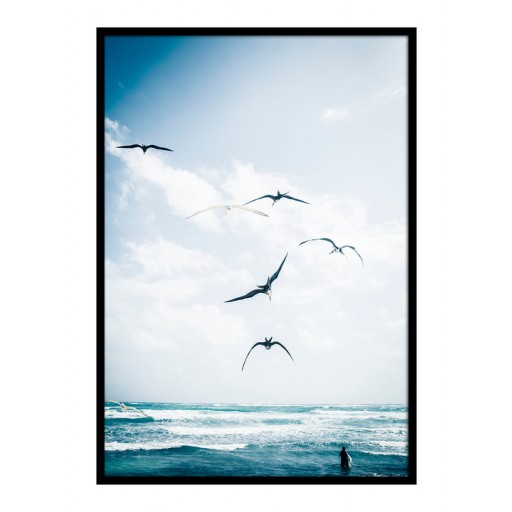Fisherans Paradise 42x95,4
