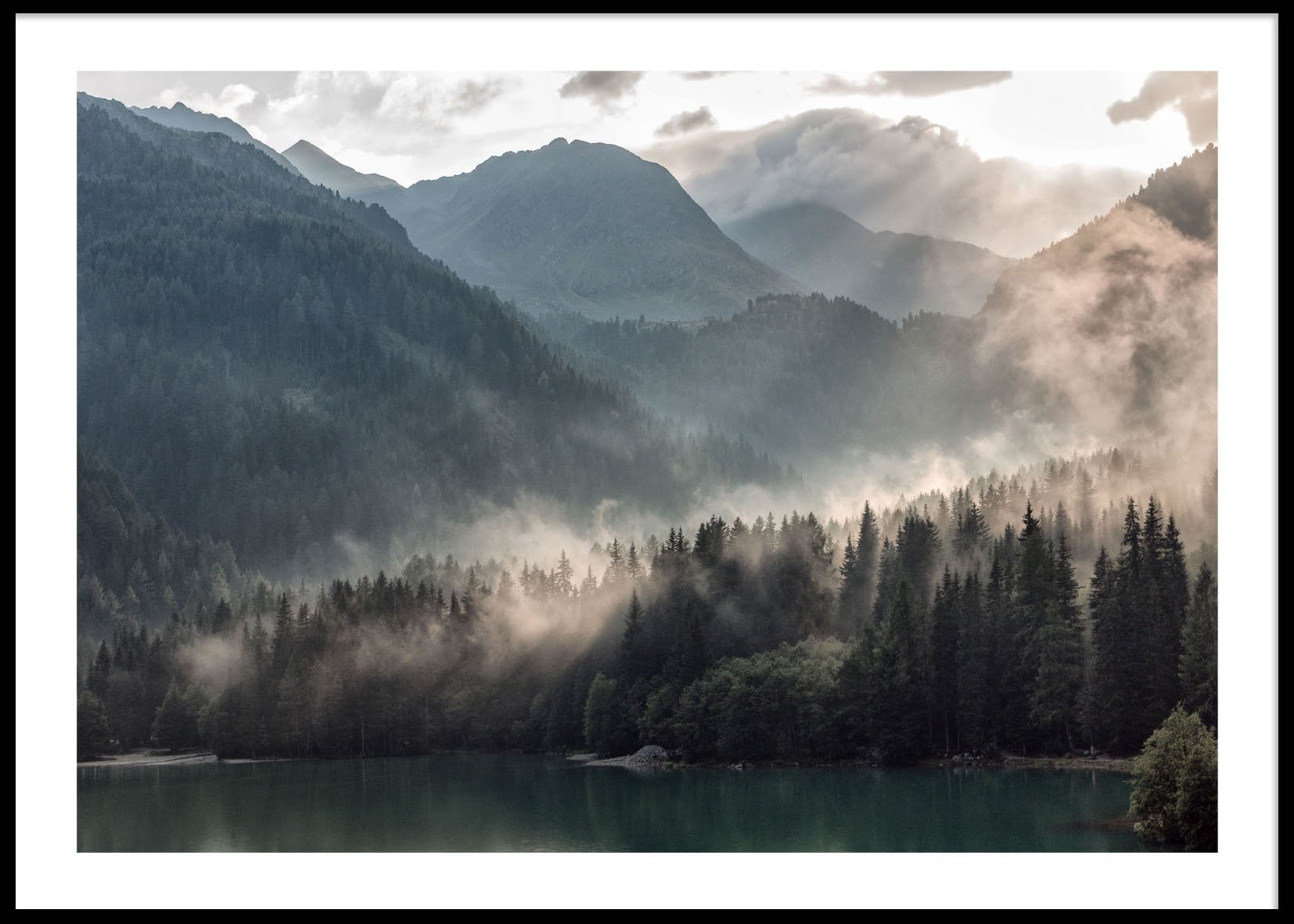 Foggy Woods 50x70 