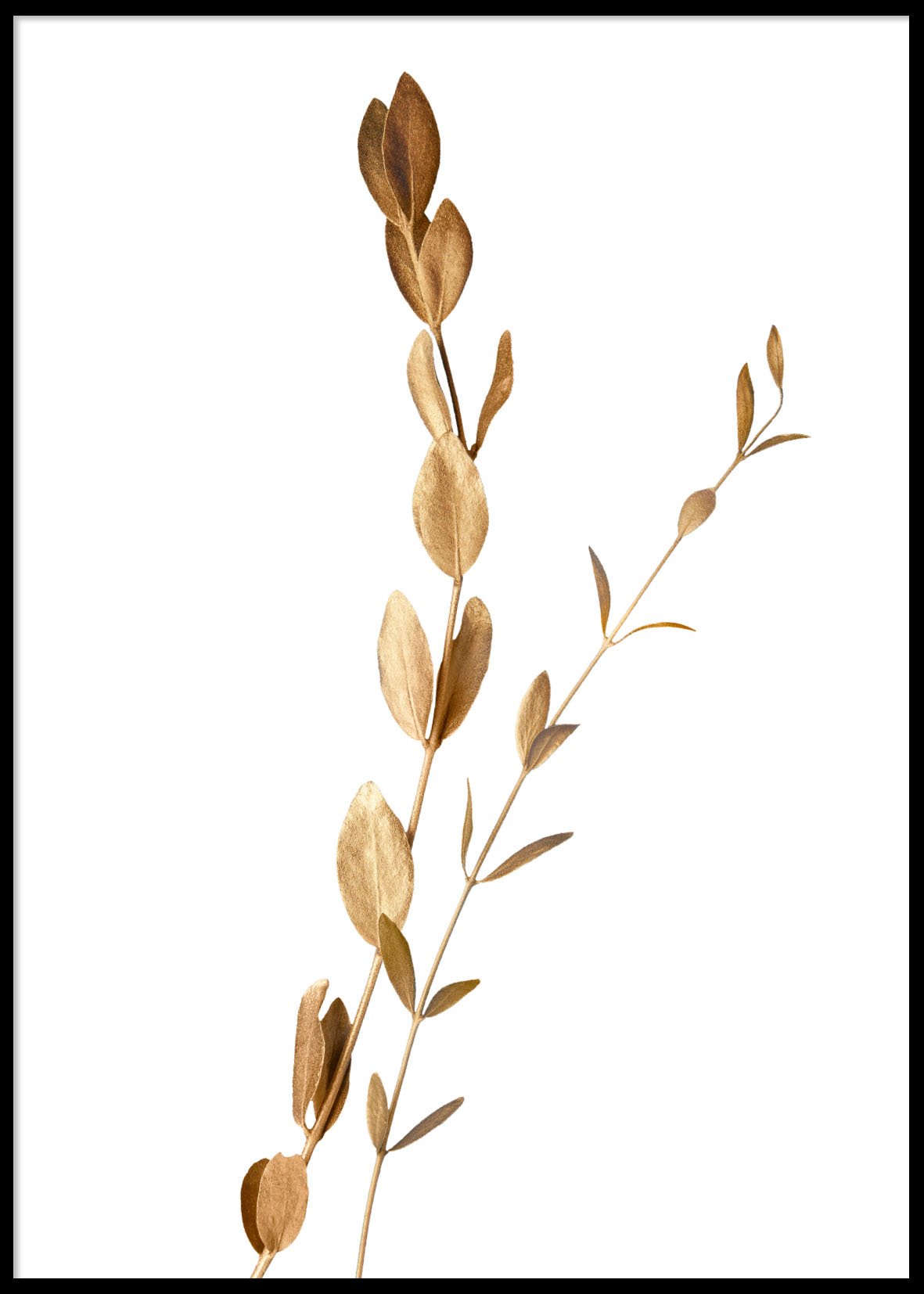 Golden leaves 50x70