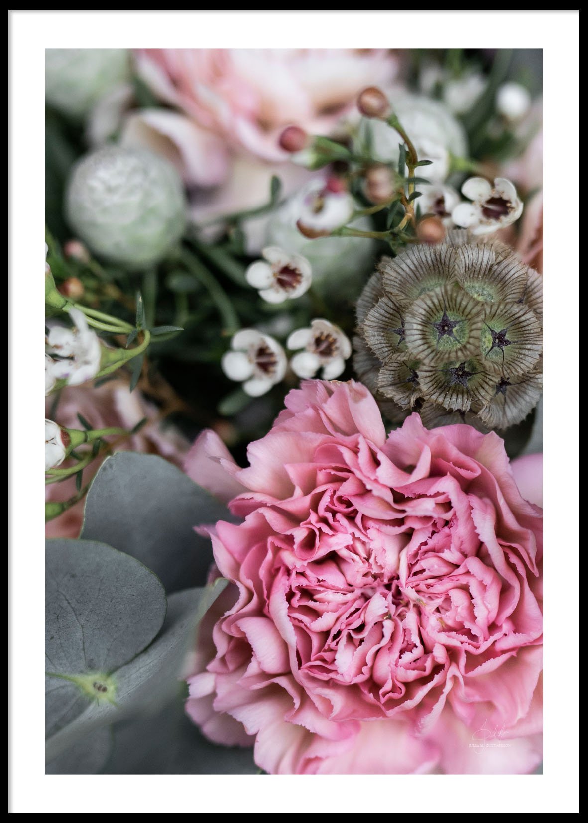 Pink flower close up 50x70