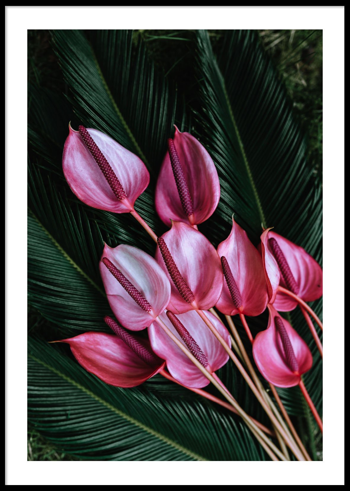Pink flowers 50x70